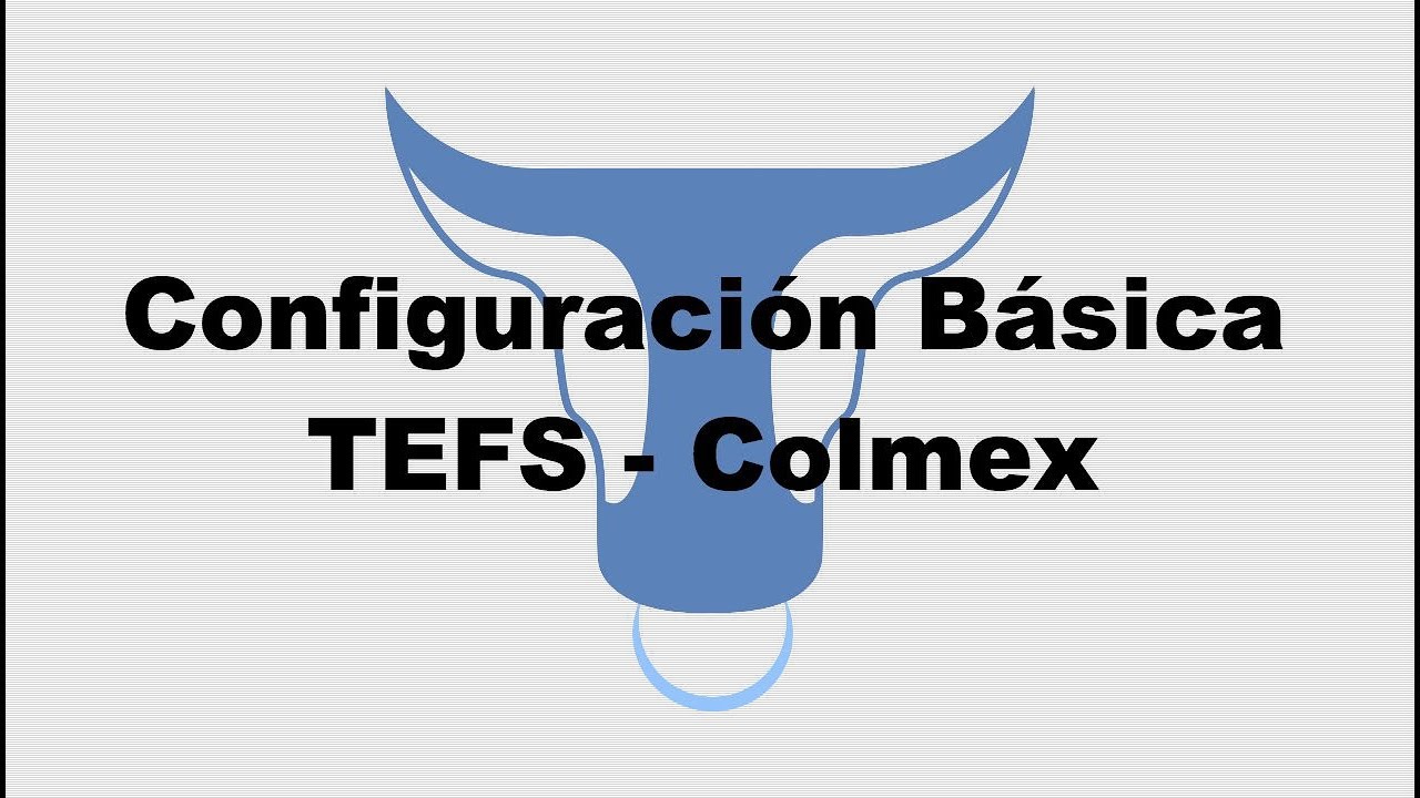 ► Configuraci&oacute;n B&aacute;sica de la Plataforma TEFS - COLMEX Pro - Day Trading