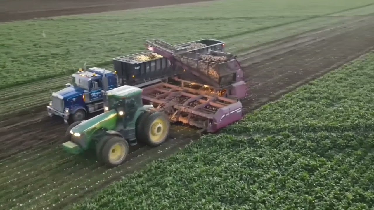 Bullinger's Sugar beet harvest 2021