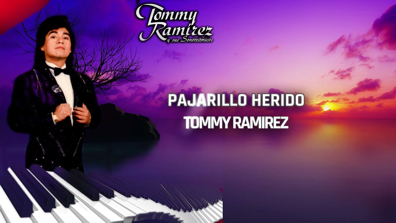 Pajarillo Herido (Karaoke) - Tommy Ramírez y Sus Sonorritmicos