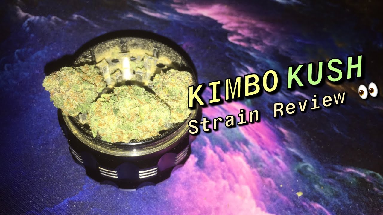 Kimbo Kush Strain Review