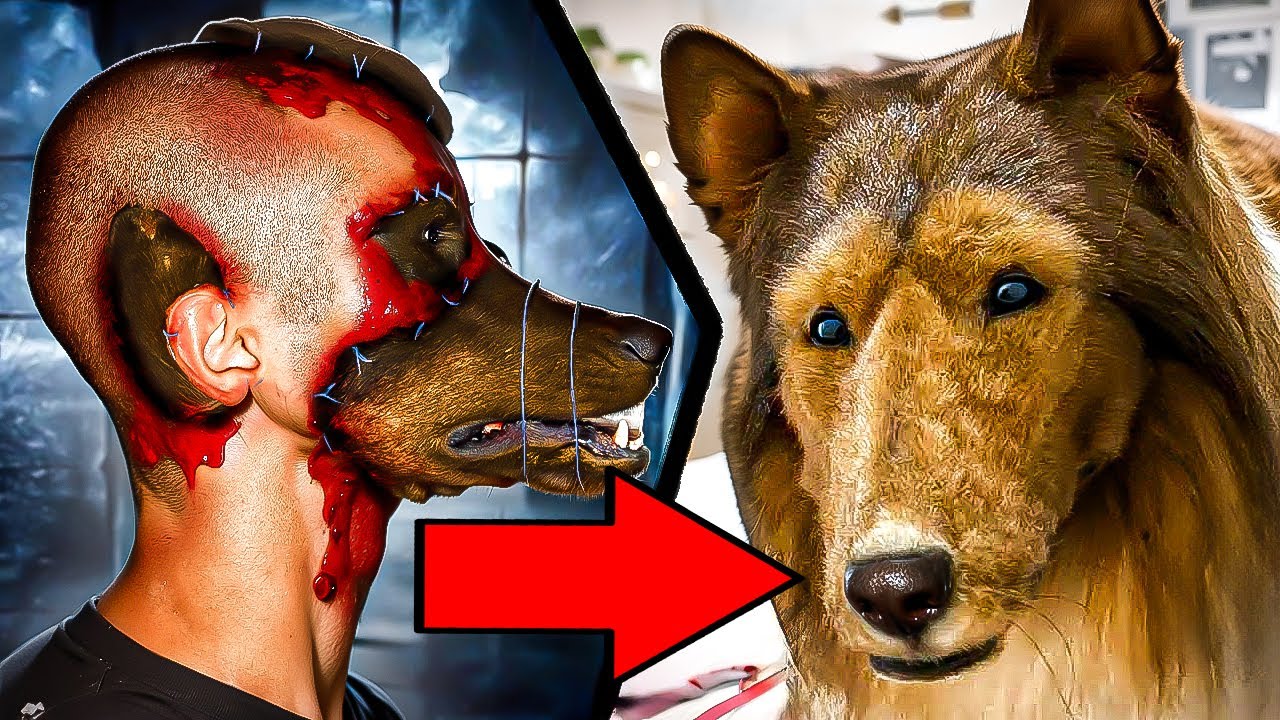 Der menschliche Hund.. (verstörend)
