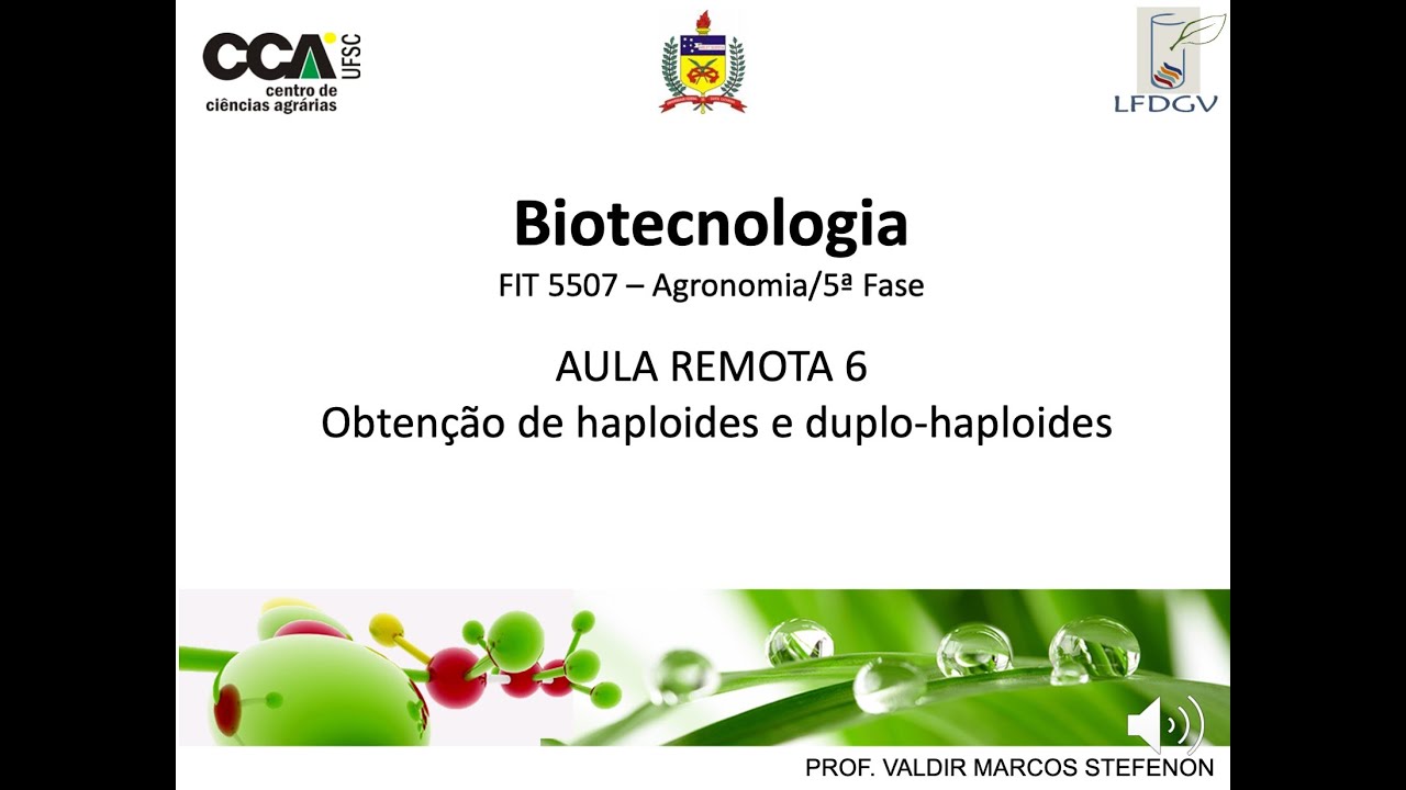6.Biotec_AulaRemota6 - DuploHaploides