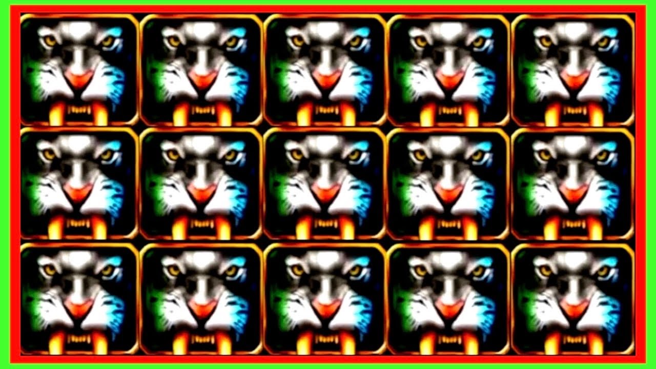 ★★JACKPOT HANDPAY★★$125 BETS★★SABERTOOTH HIGH LIMIT SLOT MACHINE BUENO DINERO MUSEUM SLOTS WMS