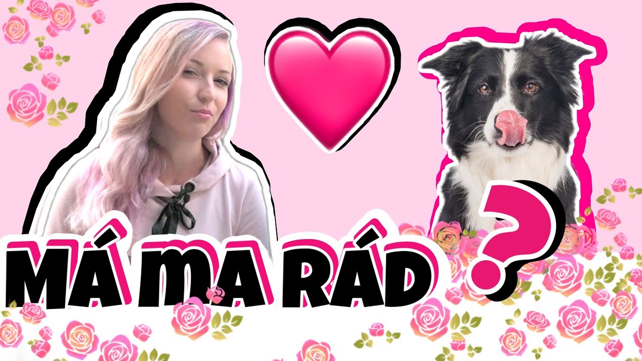 Ako spoznať, že ťa má tvoj pes rád? ❤️