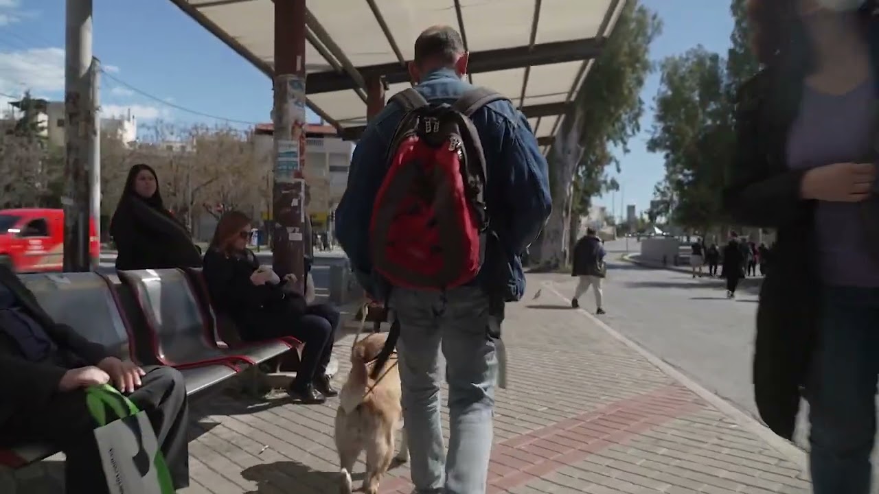 Liberty guide dogs Ελευθερία με ένα σκύλο οδηγό τυφλών στην Ελλάδα GREECE