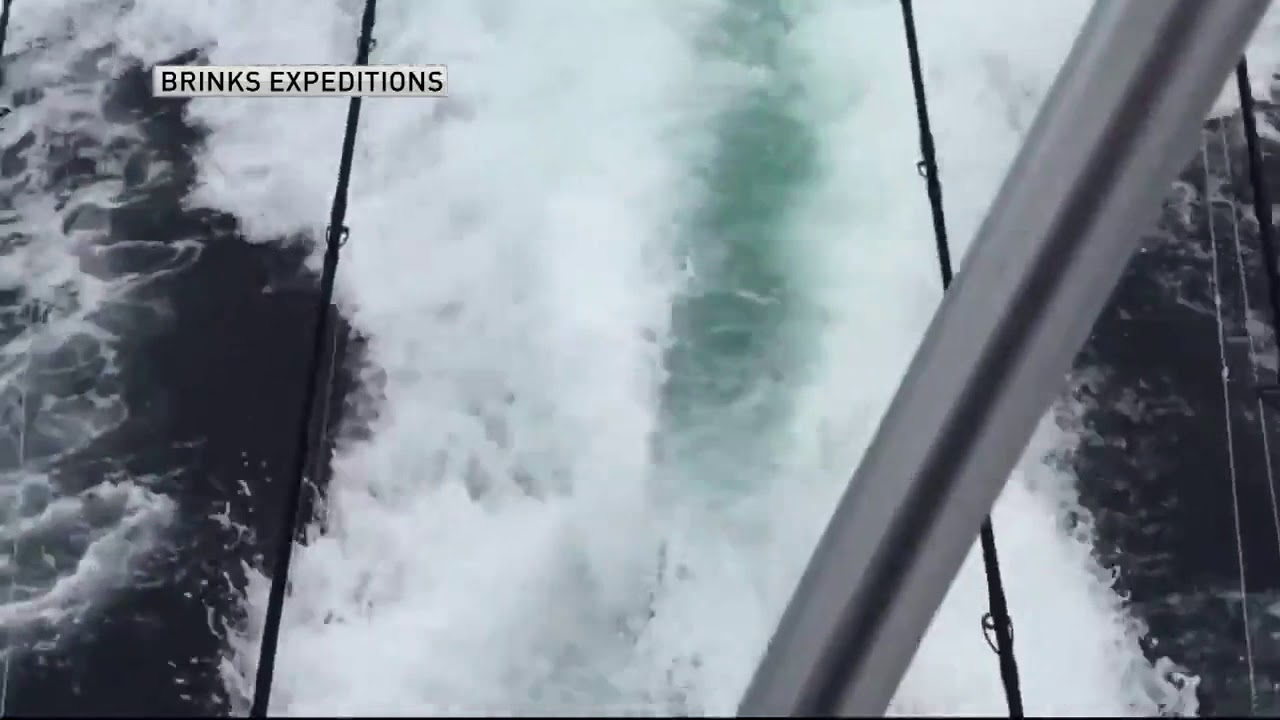 Manada de orcas acompa&ntilde;an a tripulaci&oacute;n de un barco en Islas Coronado