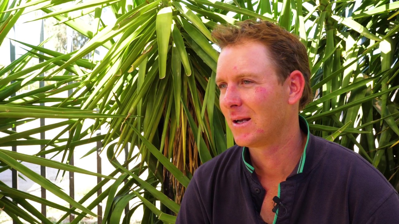 ADAMA Chris Lehmann Trust Cotton Young Achiever of the Year 2017 Finalist Forum