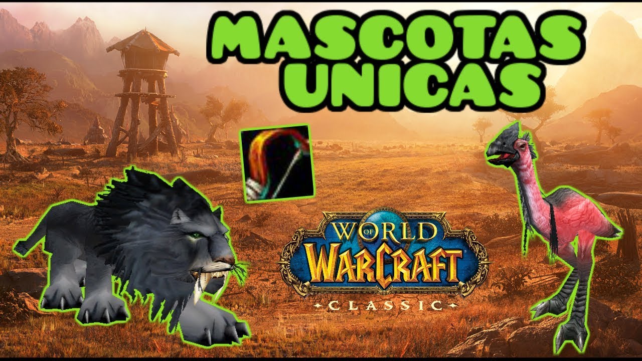 10 Mascotas UNICAS de Cazador ● WoW Classic