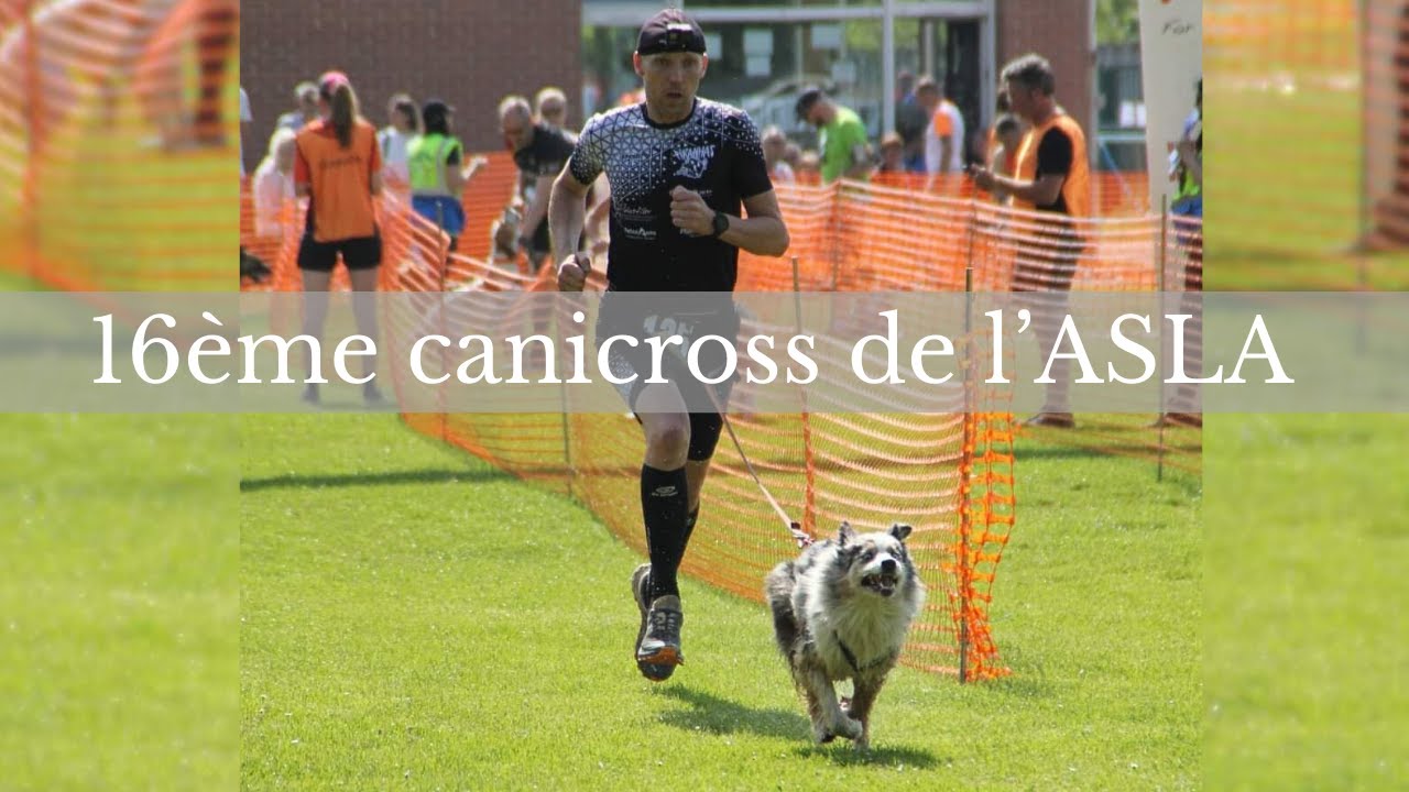16ème canicross d'ASLA -Canicross #chien #competition #canicross #sports