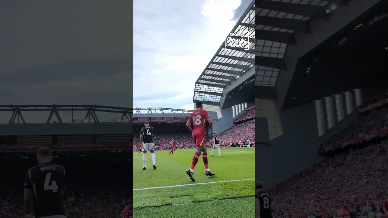 Cody Gakpo Goal 🤳⚽️