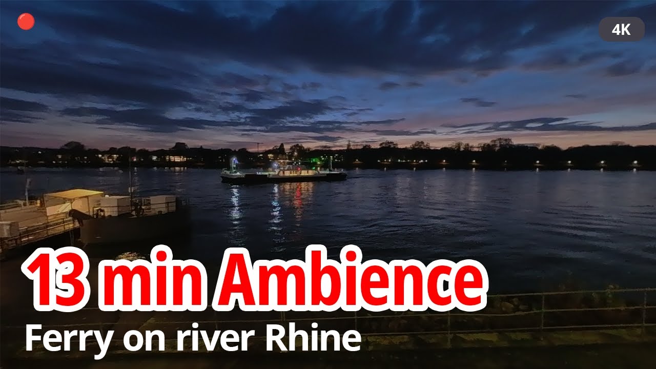 13 Minutes Sitting by the Rhine River 🌊 Night Ambience & Ferry View (ASMR)