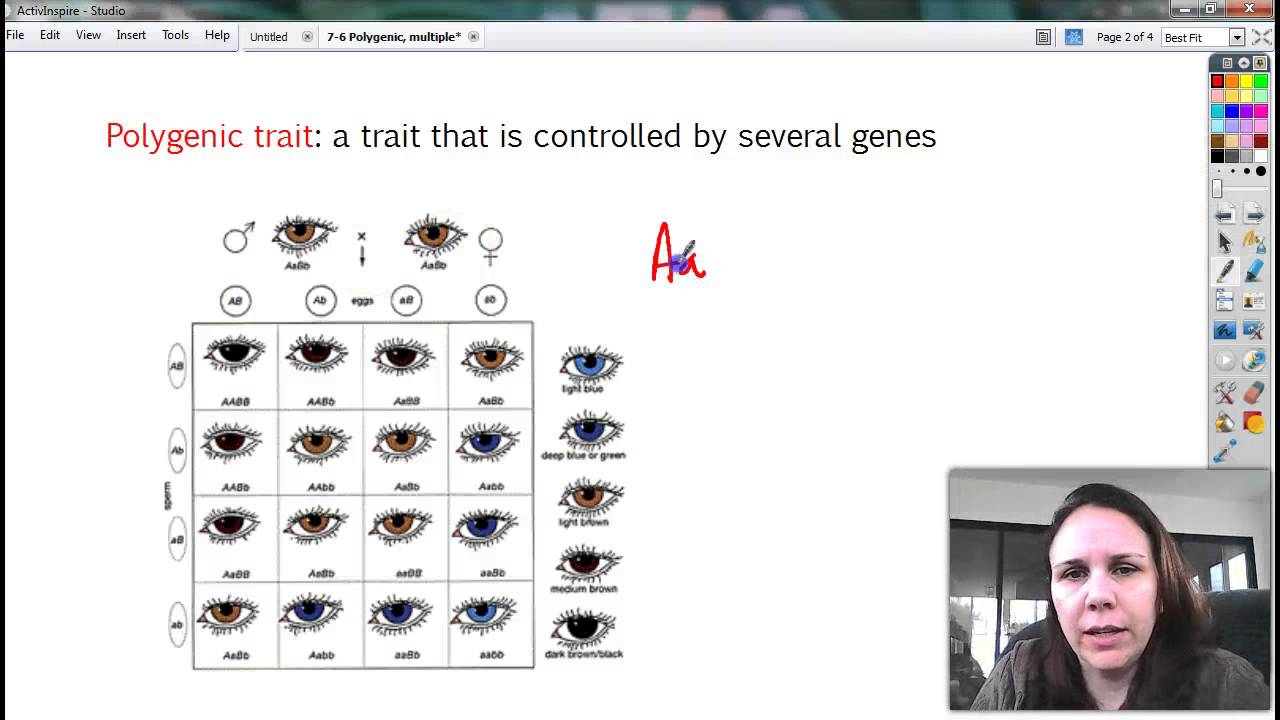 7-6 Polygenic traits