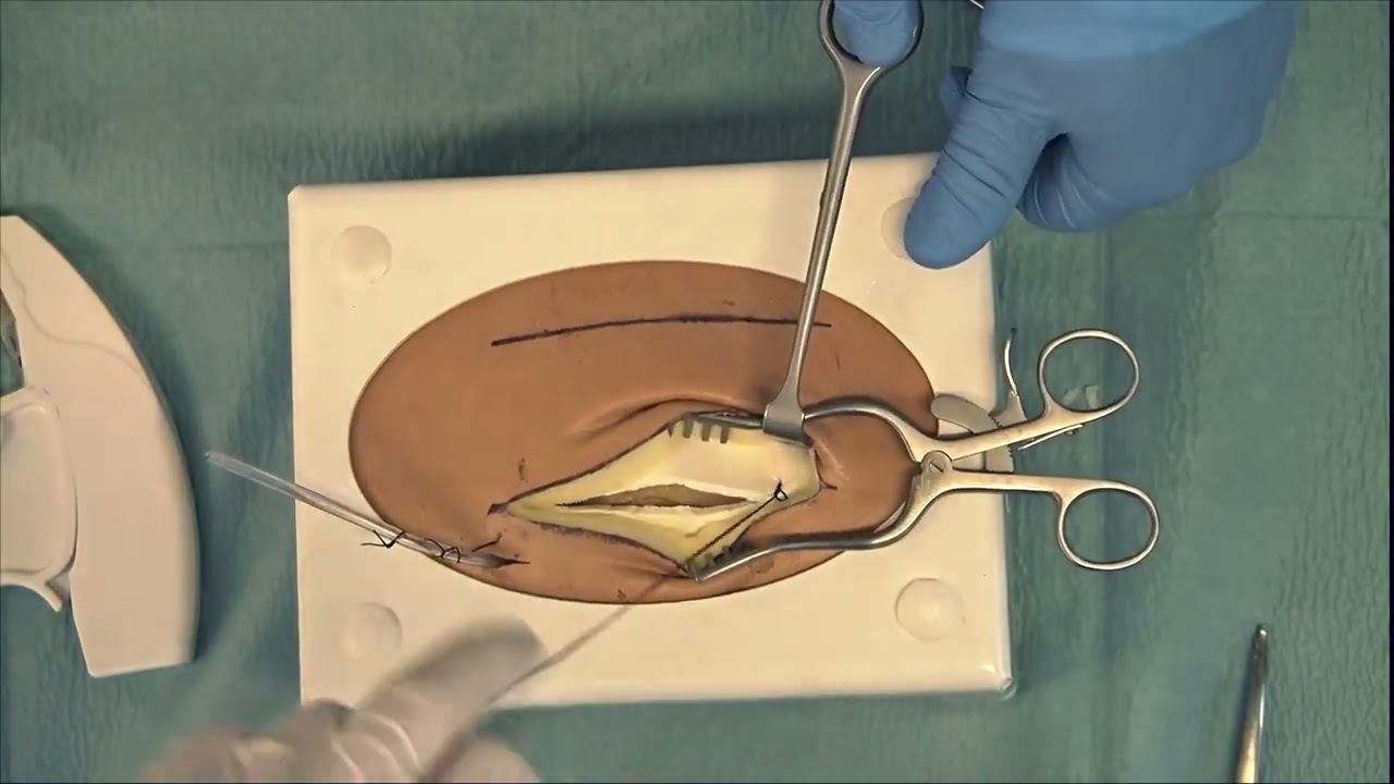 RCSI SIM Abdominal incision and closure EXPERT Performance (Sped Up)