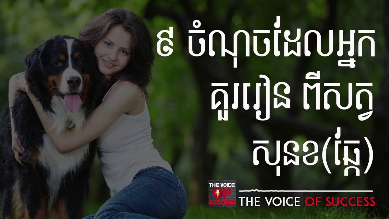 Episode 141 - ចំណុចដែលអ្នកគួរតែរៀនពីសត្វសនខសត្វឆ្កែ