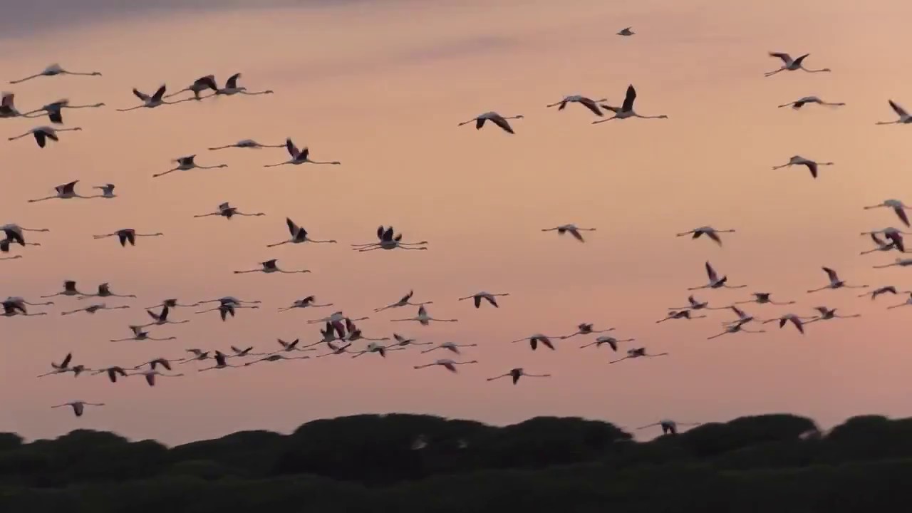 Alla scoperta della Pialassa Baiona a Ravenna