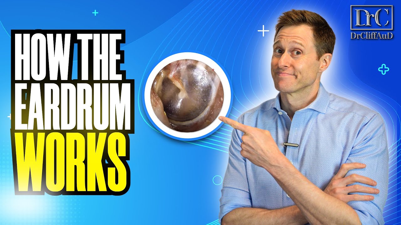 How the Eardrum Works