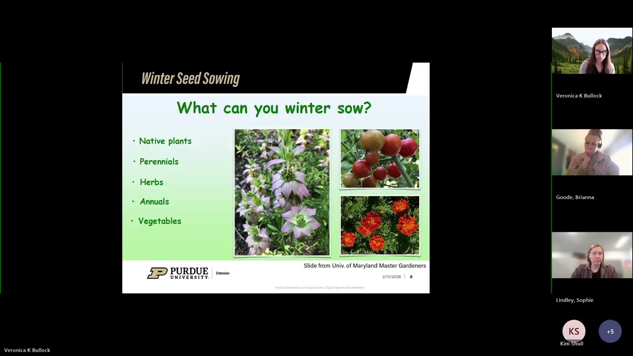 Indiana Farm to School Office Hours: February Focus on Winter Sowing