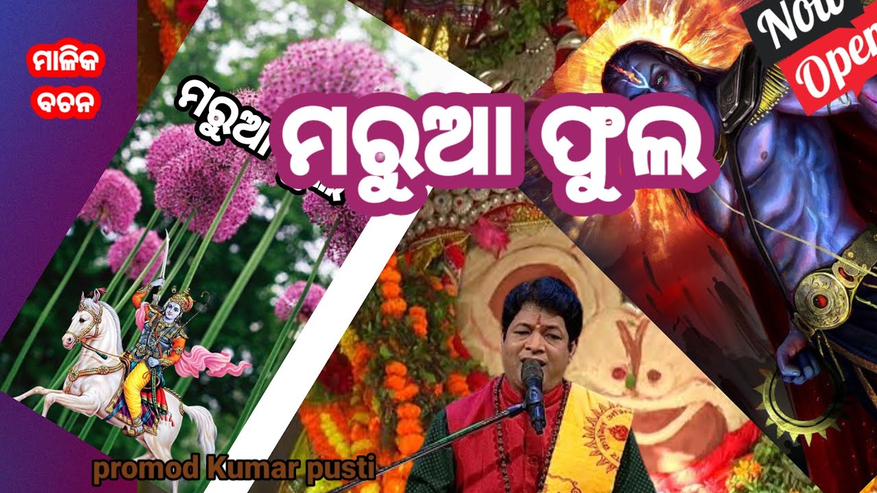 Malika bachana 2024 ।। ମରୁଆ ଫୁଲ ମାଳିକା।। future prediction Malika ।। Maruaphula Malika ।। ମାଳିକା ପ୍ର