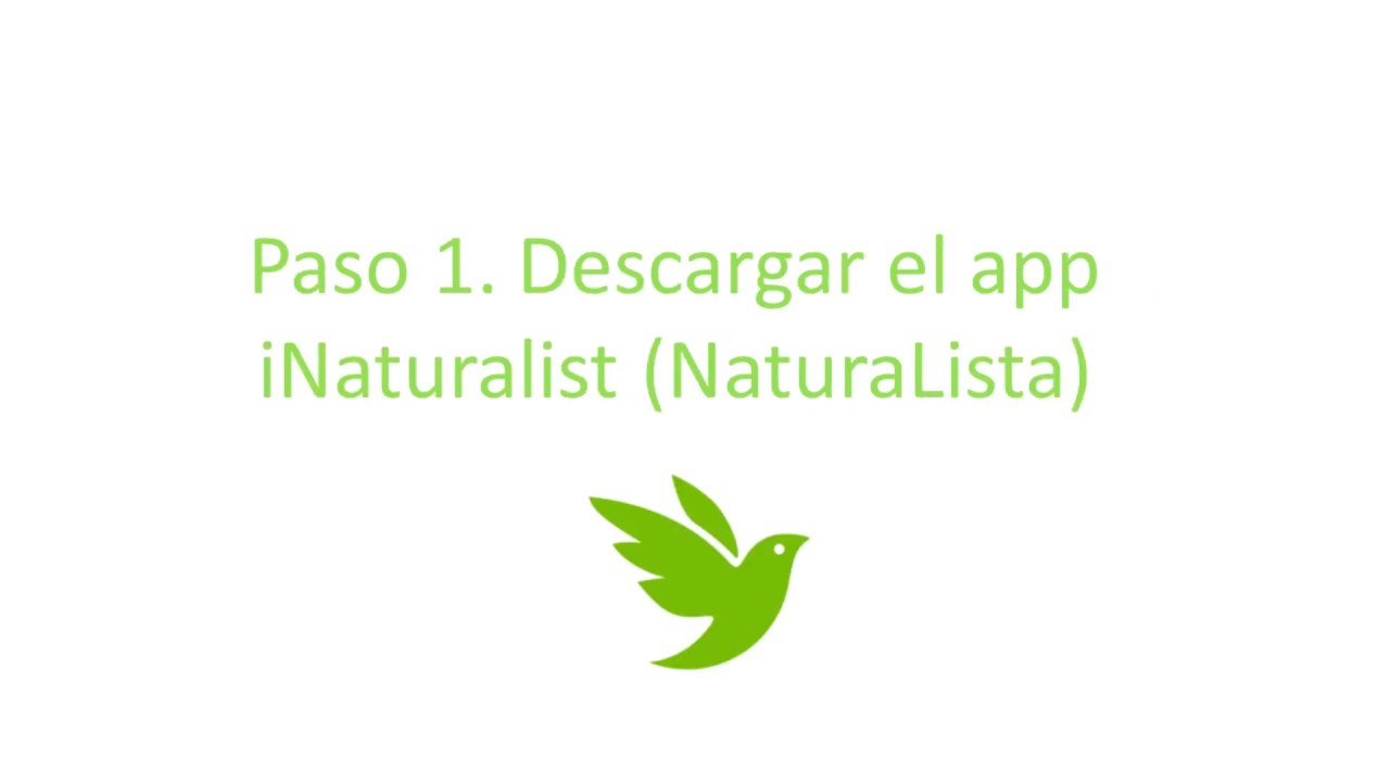 Como hacer una observación en iNaturalist (Reto Naturalista Urbano)