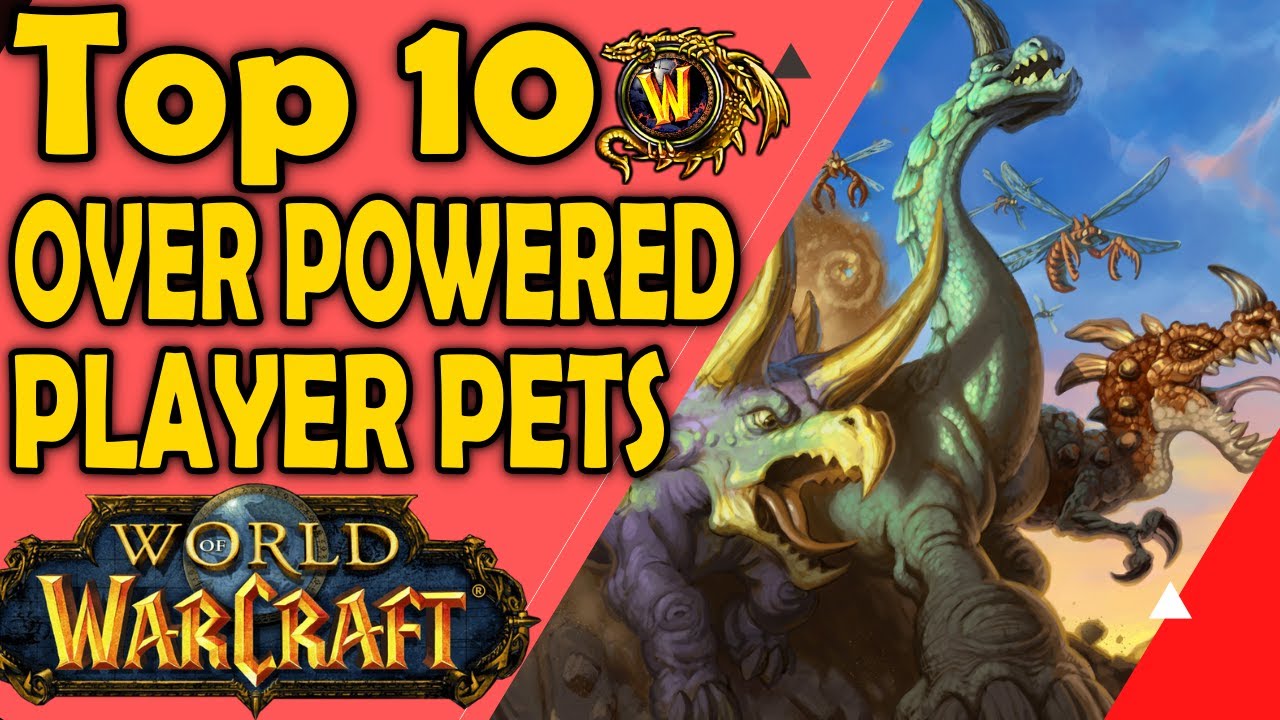Top 10 Over Powered Player Pets in World of Warcraft