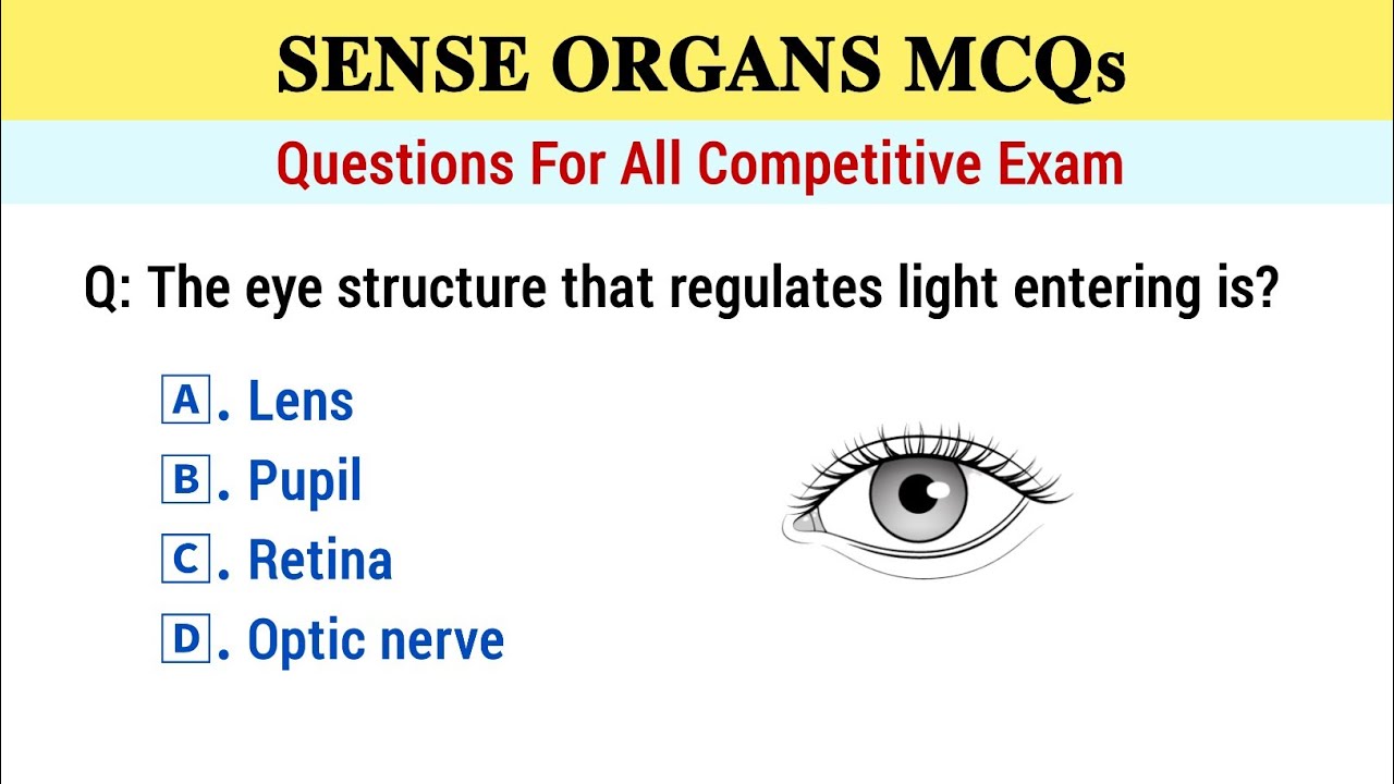 Human Sense Organs Mcqs | Sense Organ mcq | Sense Organ Questions
