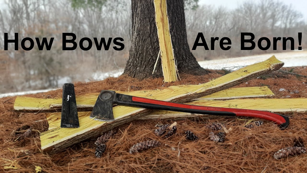 A Satisfying Look at Splitting Osage Log into Bow Staves | Bow Building