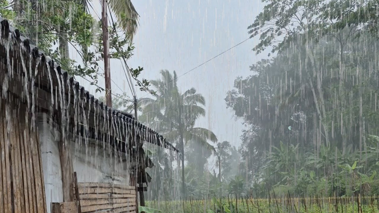Super heavy rain relieves stress and insomnia, calm therapy and instant sleep, ASMR