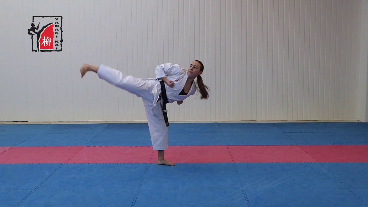 Grading syllabus - 7th kyu (orange belt)
