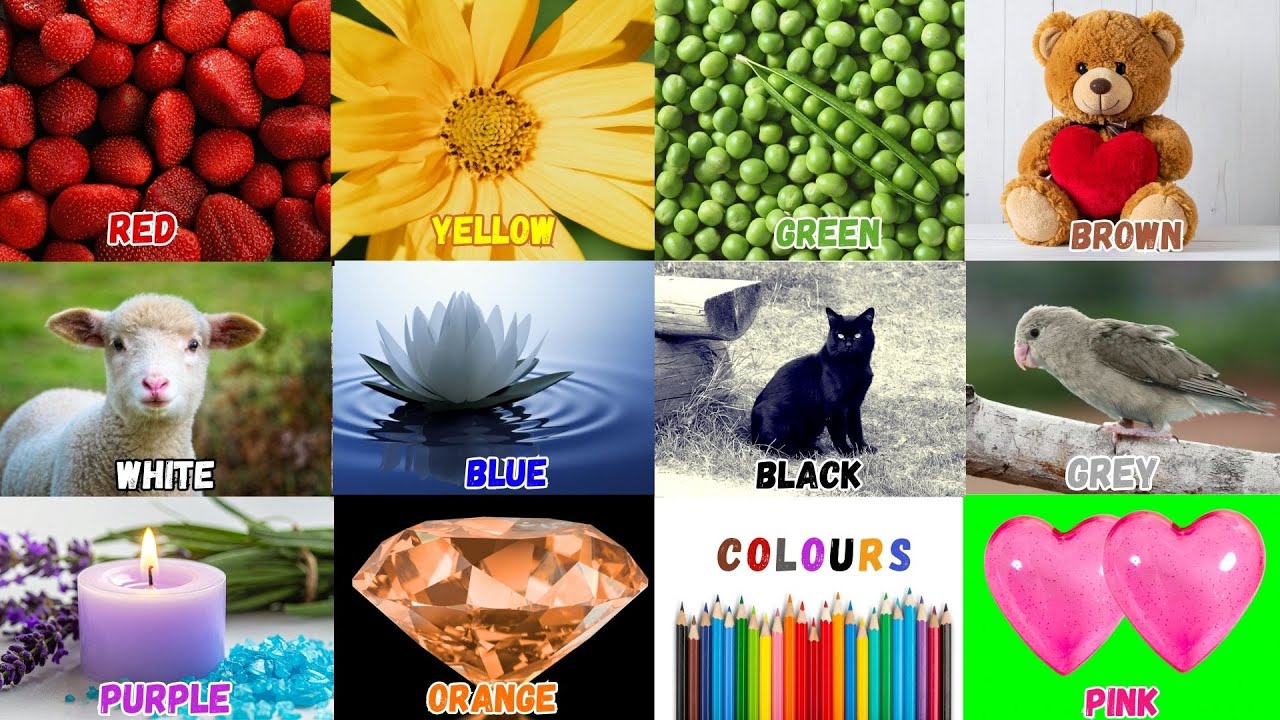 We Love All the Colors |Colors in English for Kids |Red Red Strawberries |Nursery Rhymes  