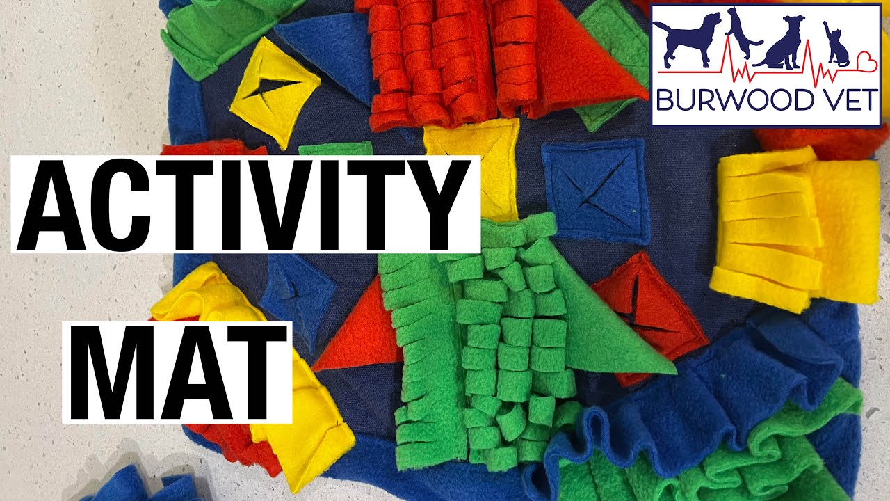 Dog activity mats at Burwood Vet