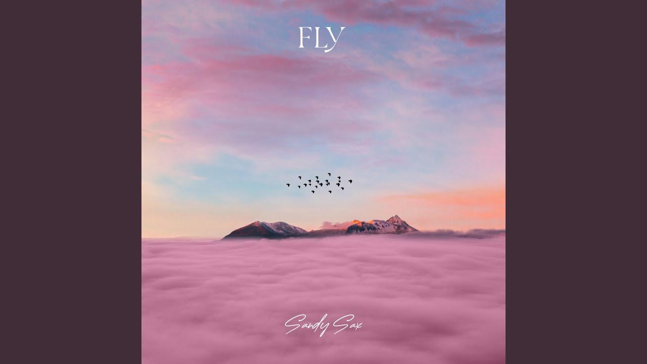 Fly (Extended Version)