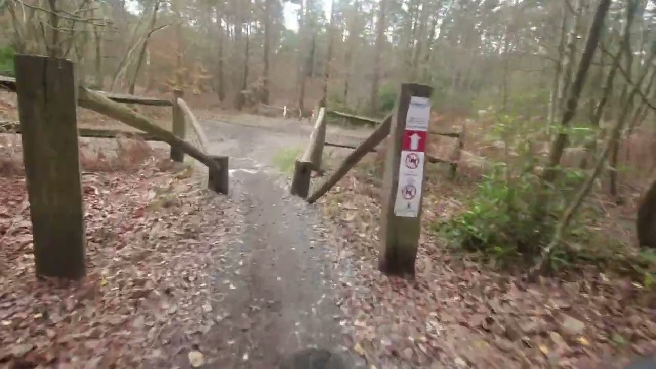 Bedgebury 04/12/2023