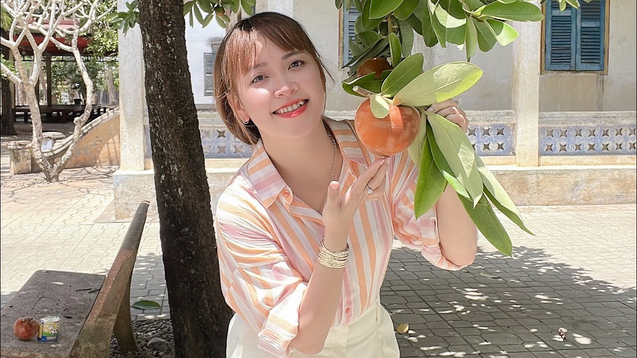 0978.682.795 trải nghiệm hái quả đào hồng nhung tại chùa bốn mặt sóc trăng#hồngnhung#traidaohongnhun