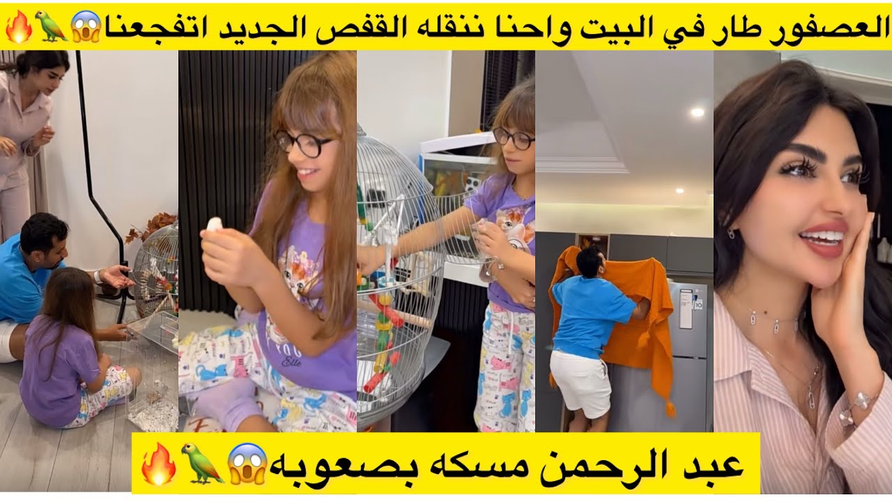العصفور طار في البيت واحنا ننقله القفص الجديد اتفجعنا😱🦜 عبد الرحمن مسكه بصعوبه😱🦜🔥 