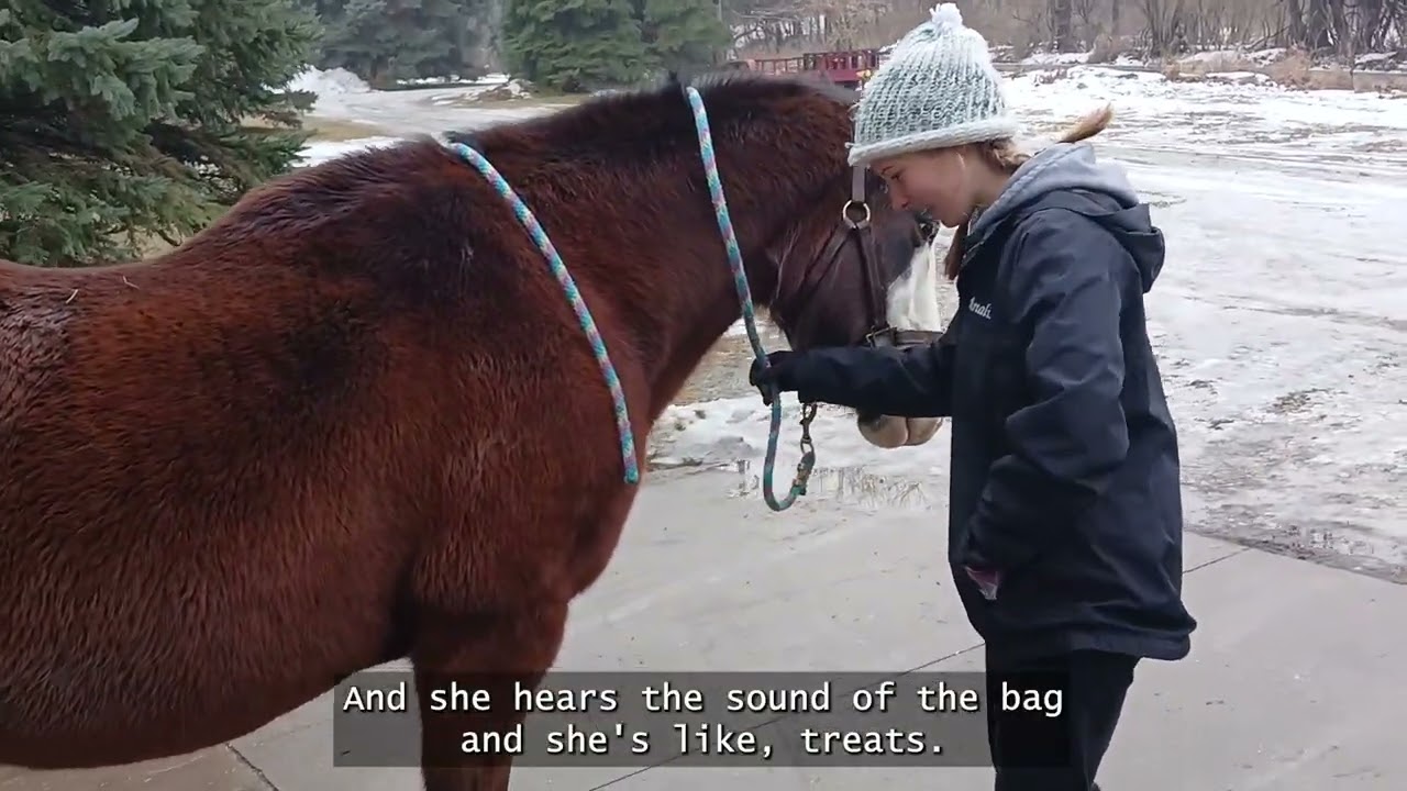 Treat Stretches - JCHP Winter Connection Challenge