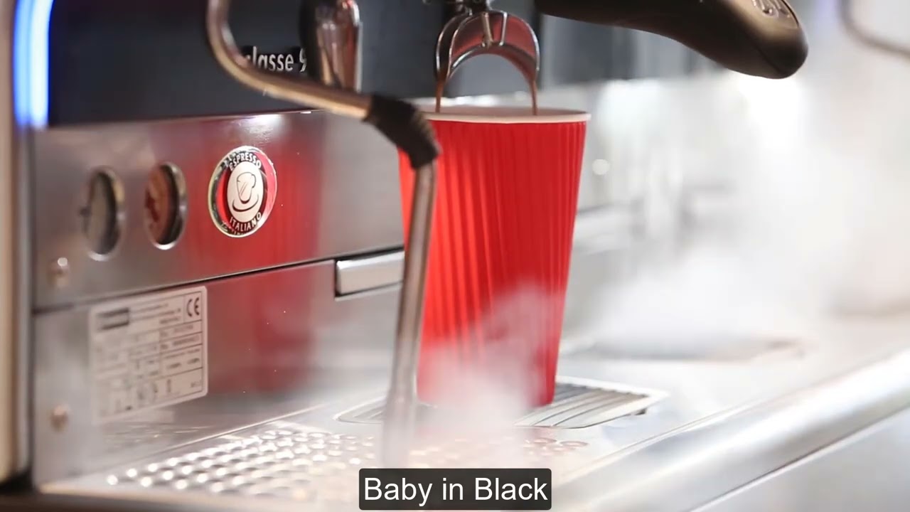 Beatles Baby in Black Guitar Solo