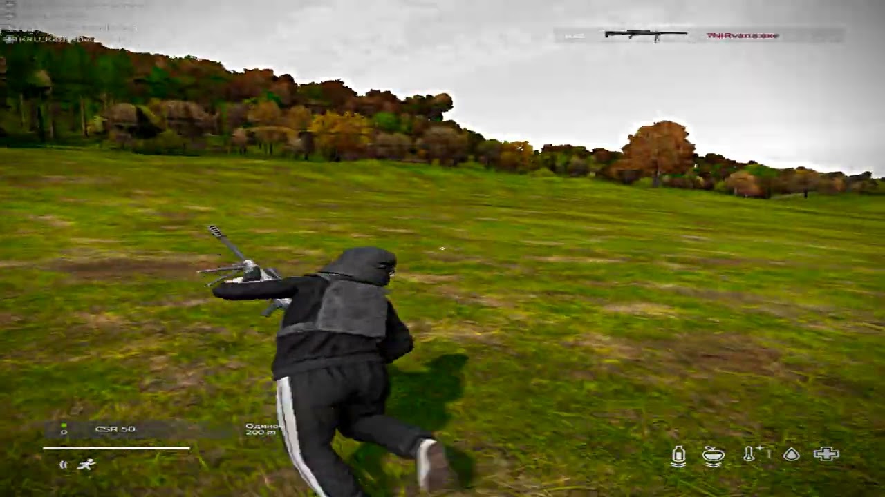 Ай Чуваува!#paradise #dayzstandalone #dayzhighlights #zustark