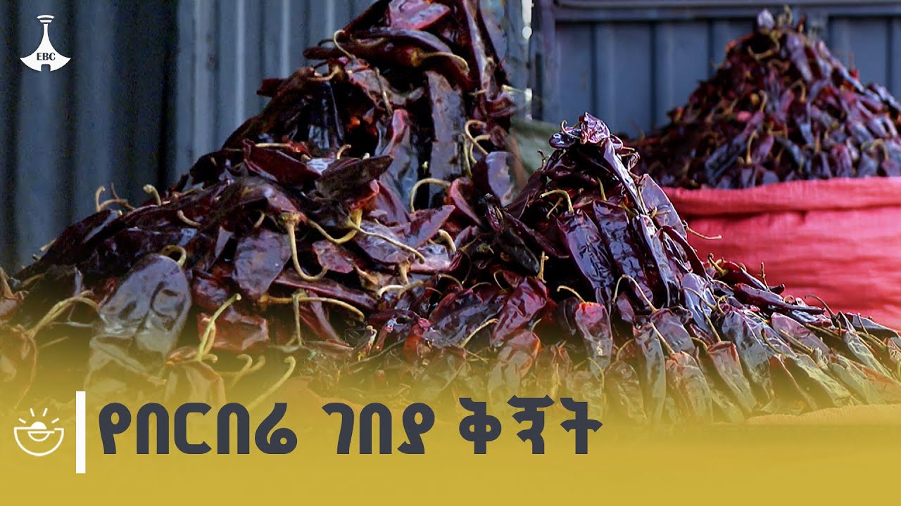 በርበሬ በአዲስ አበባ በርበሬ በረንዳ ከስንት እስከ ስንት እየተሸጠ ነው?  | Pepper | Ethiopia | Pepper Market | EBCDOTSTREAM