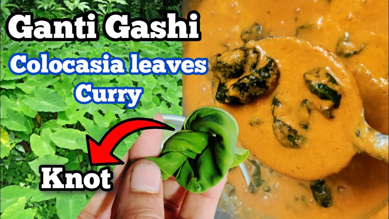 Ganti Gashi Recipe/ Colocasia leaves Curry/ Colocasia leaves knot curry