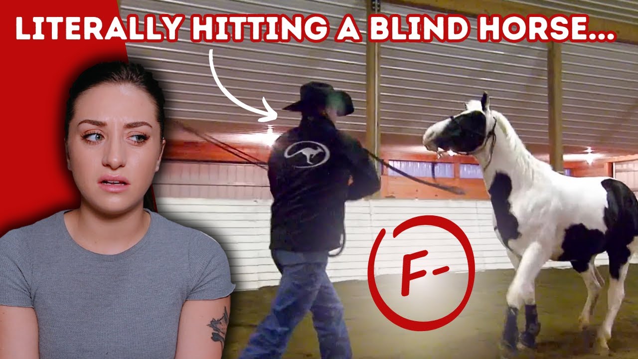 Let's Judge Horse Trainers: Clinton Anderson