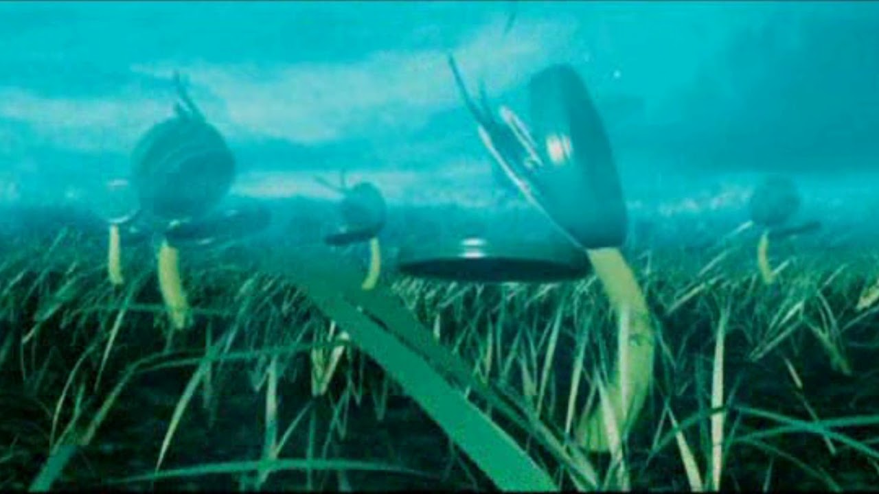 Studio Green (2010)