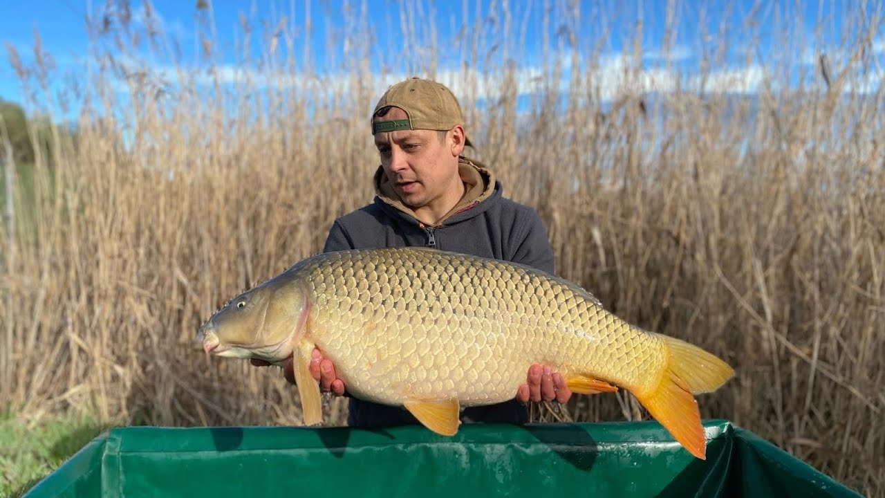 Balta de la Sanpaul pescuit primavara catch&release #carpfishing89