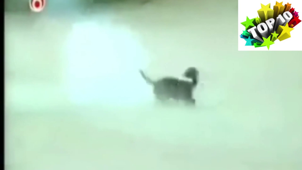 Firework fails 2016