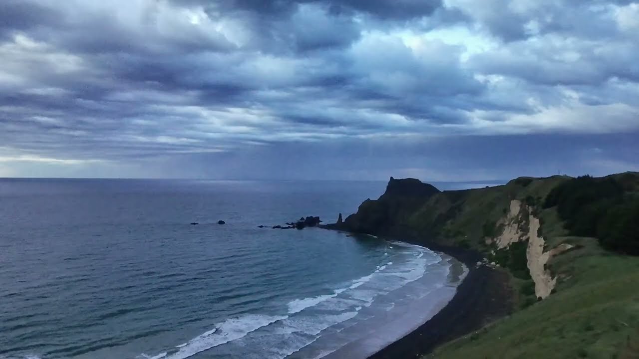 New Zealand Alpaca High Cliff Beach 2025