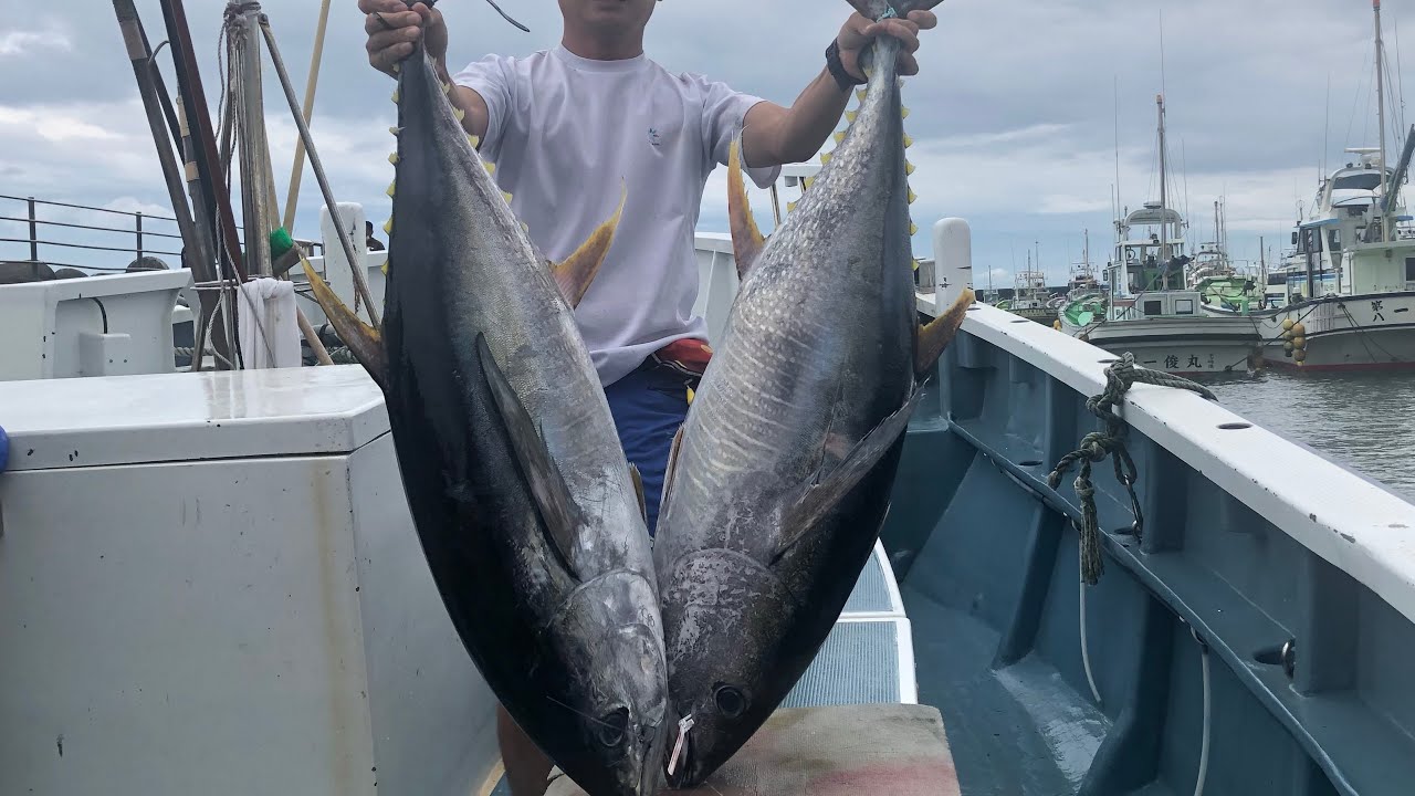 6千円の竿で挑んだライブベイト キハダマグロ釣り