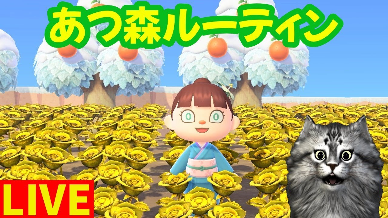 【あつ森】久しぶりの住民ガチャとついでに資材集め 2026/1/10