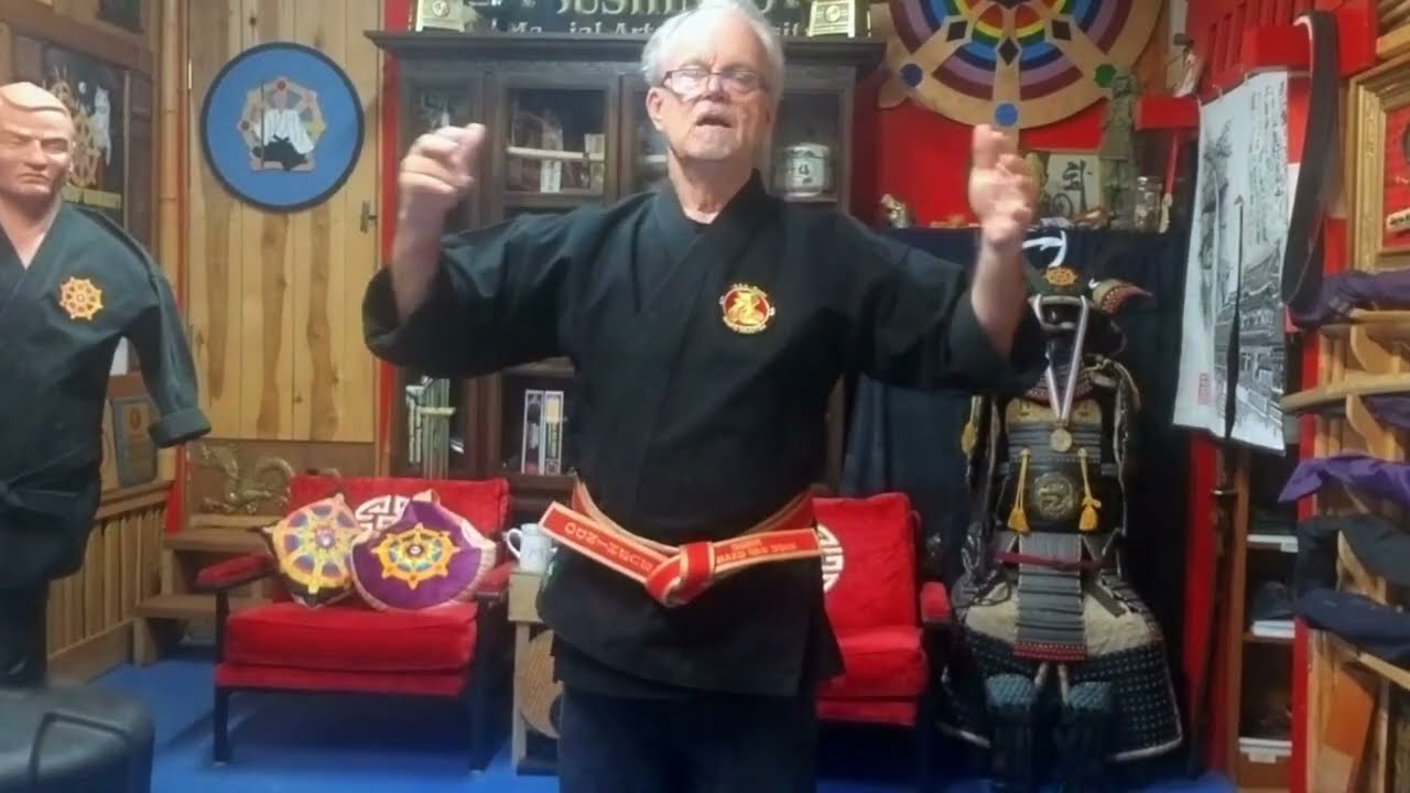 Perfecting Your Taijutsu with Doshi Richard Van Donk
