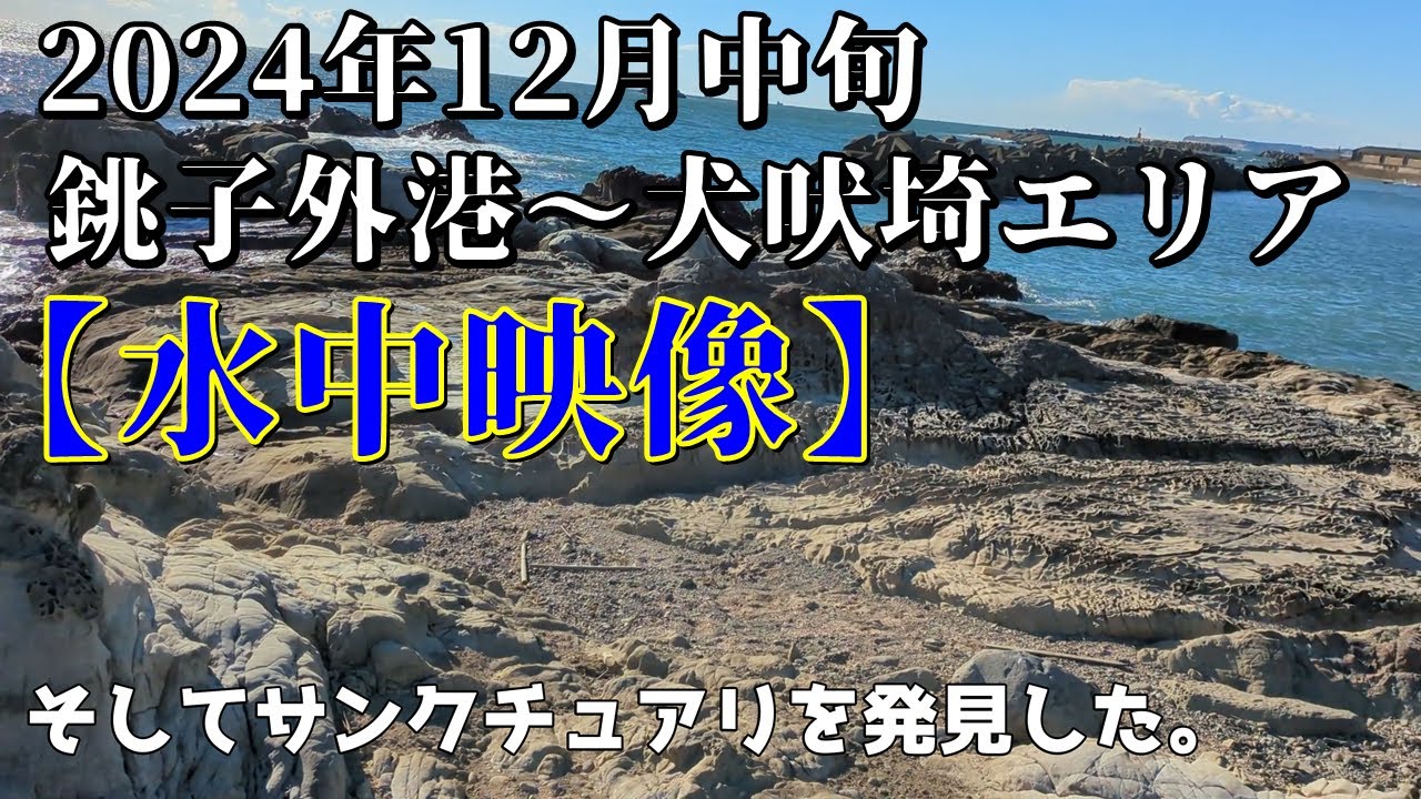 4K【水中映像】2024年 12月中旬 千葉県 銚子外港から犬吠埼の未チェックエリアで魚を探す#銚子外港 #釣り #犬吠埼 #水中映像