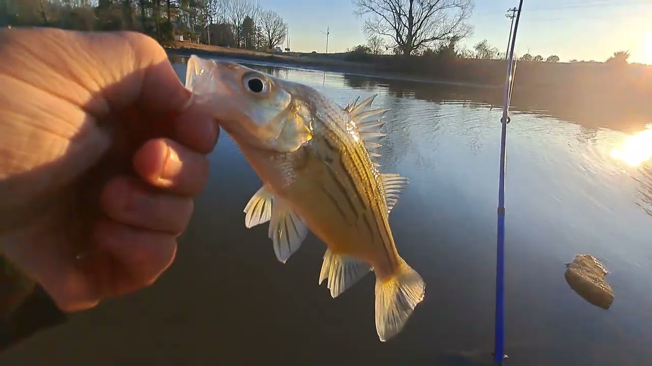 This video of fishing was 2 day ago 