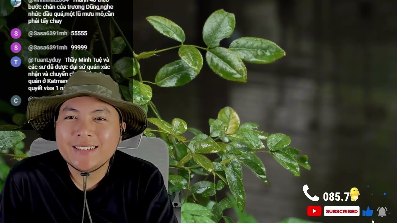 Cực Căng, P.Nghiêm Chửi T40 Tơi Bời, Achan Báu Bị Đưa Tin Nhắn Riêng Tư